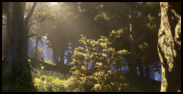 Buche/Eiche (Laubwald)