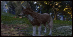 Fuchs