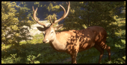 Hirsch