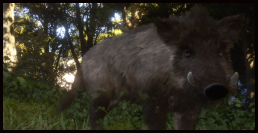 Wildschwein