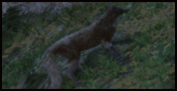 Fuchs