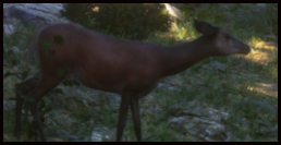 Reh